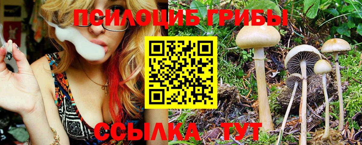 где купить наркоту  Псилоцибиновые грибы ЛСД  Вход с VPN  Псков 